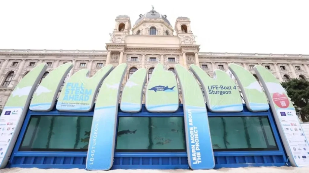 Avrupa'nın en büyük mobil akvaryumu Viyana'da sergileniyor