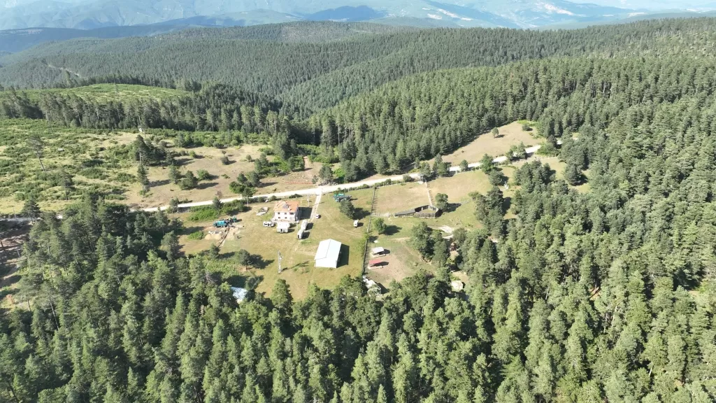 DSİ'den yaban hayata can suyu