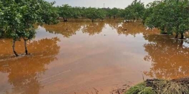 Bafra Ovası’nda tarım arazileri sular altında