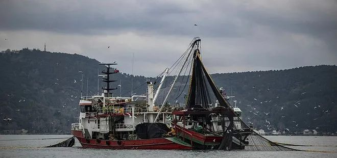 Hamsinin  avlanabilir miktarı 400 bin ton olarak belirlendi
