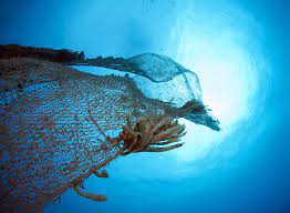 'Sessiz Katil' Karadeniz'de: Dört Ülkede Birden Mücadele Başladı