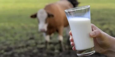 Sütün beyaz olma nedenleri nelerdir?