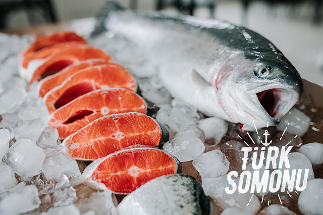 Samsun, ’Türk somonu’ üretiminde dünya markası haline geldi