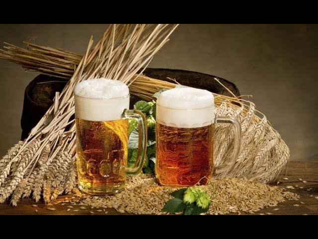 Bavyera'daki 334 yıllık bira fabrikası iflas etti