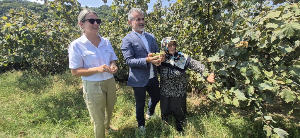 Suat Kılıç: “Fındıkta taban fiyat 250 TL’nin altında olmamalı, köylünün yüzü güldürülmelidir”