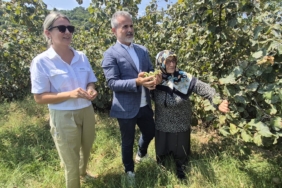 Suat Kılıç: “Fındıkta taban fiyat 250 TL’nin altında olmamalı, köylünün yüzü güldürülmelidir”