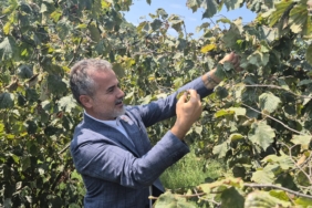 e6aae74f-a1ef-443e-9fc5-9321431e1d32