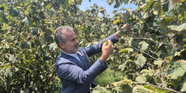 e6aae74f-a1ef-443e-9fc5-9321431e1d32